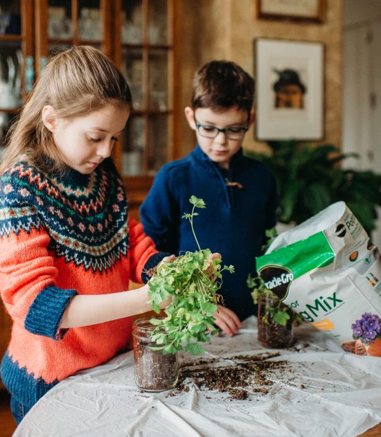 Potting-Plants